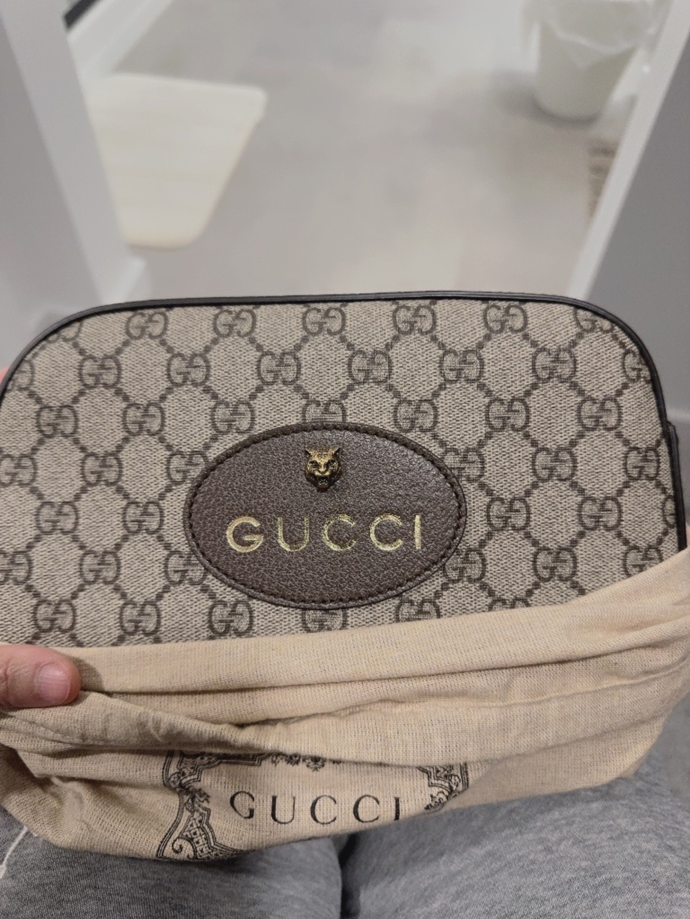 Gucci neo camera bag